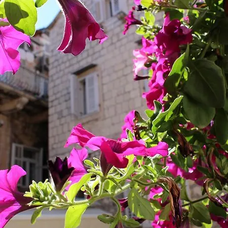 Pinna Hvar Apartment Hvar Town