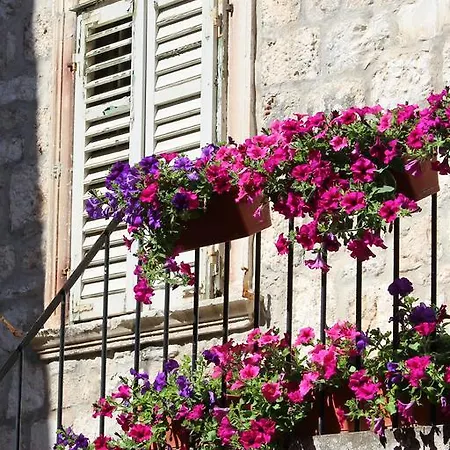 Pinna Hvar Apartment