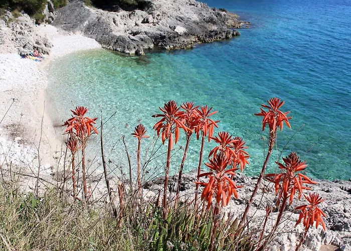 Pinna Hvar Apartamento