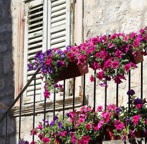 Pinna Hvar Apartamento