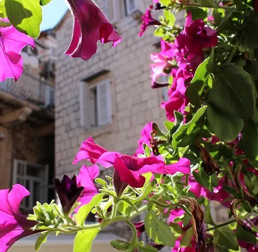 Pinna Hvar Apartment Hvar Town